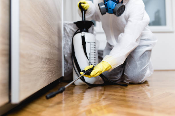 Best Local Pest Control Services  in Ilchester, MD