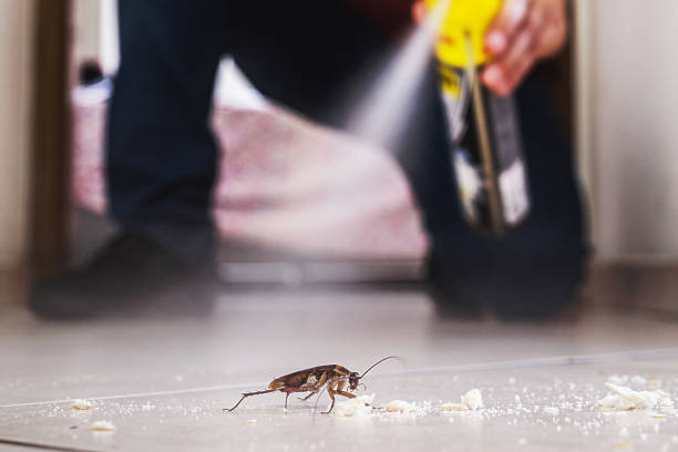 Best Commercial Pest Control Services  in Ilchester, MD